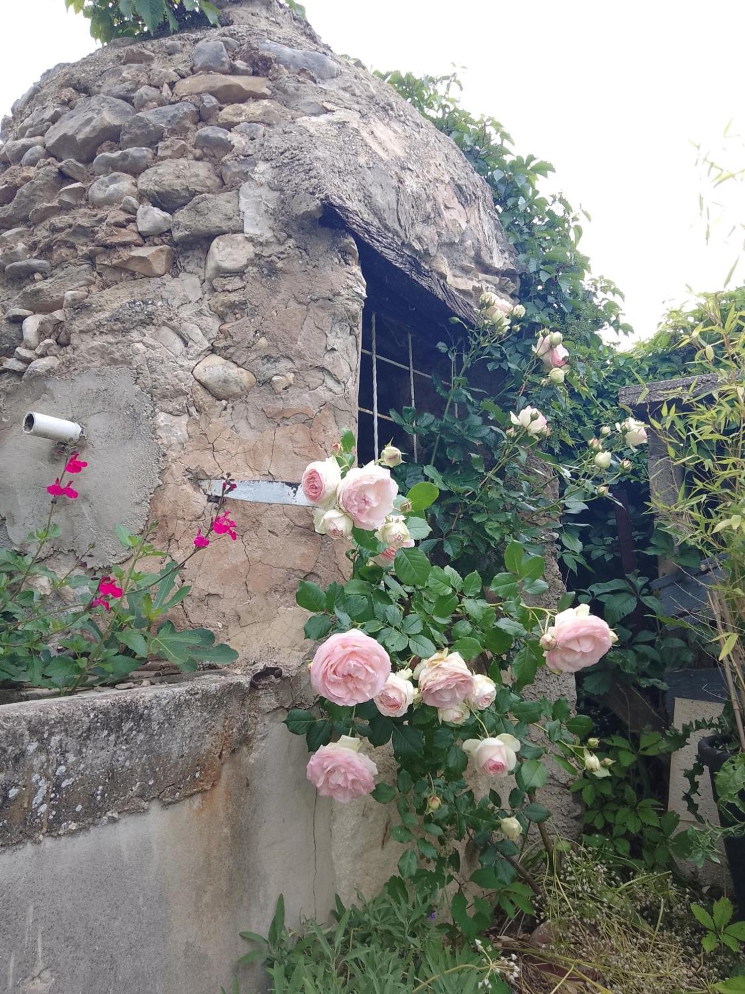 Les Du Mont Ventoux Holiday home