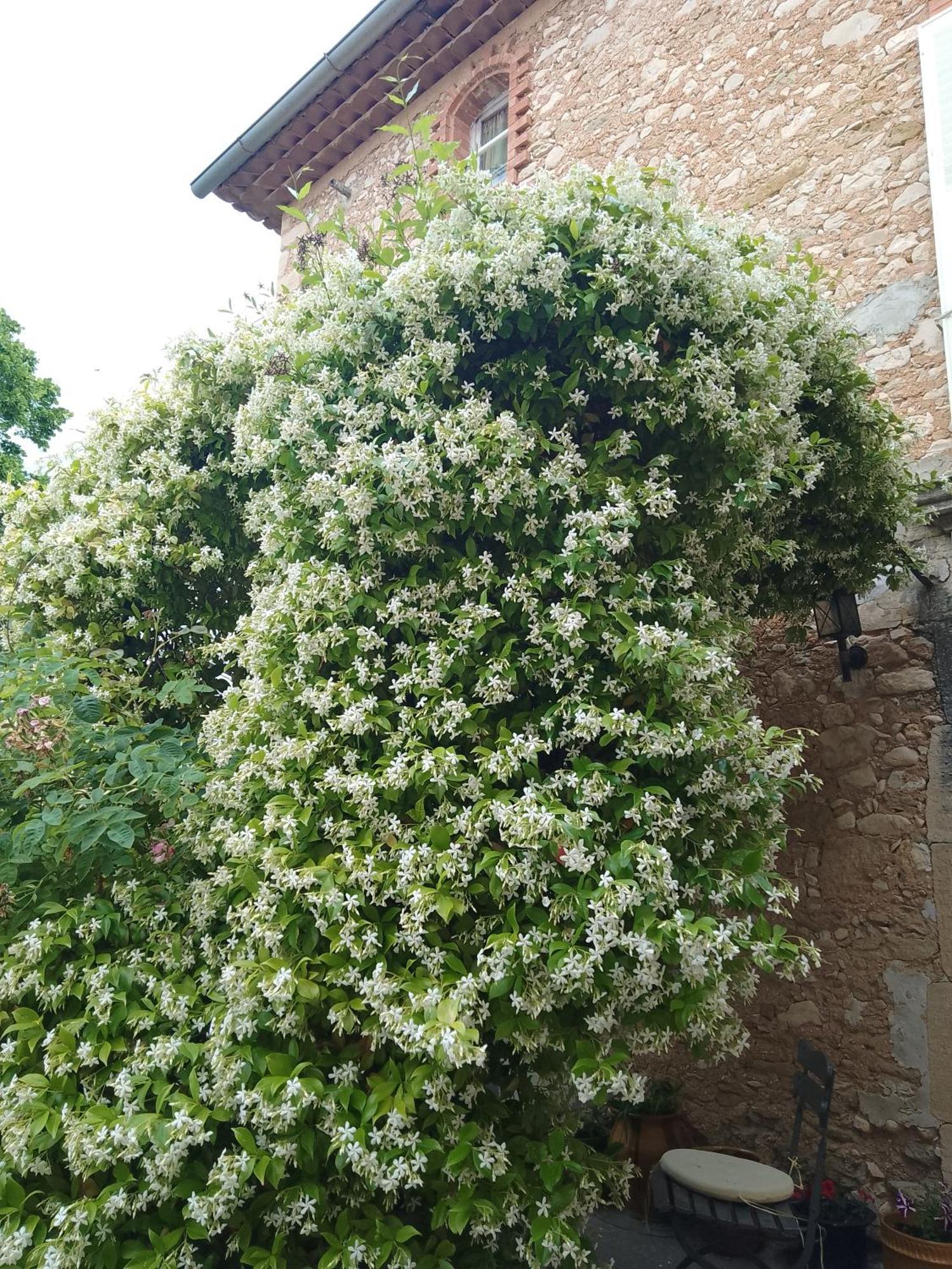 Les Du Mont Ventoux Holiday home Bedoin