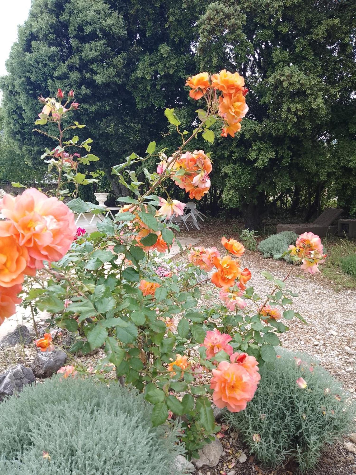 Holiday home Les Du Mont Ventoux Bedoin
