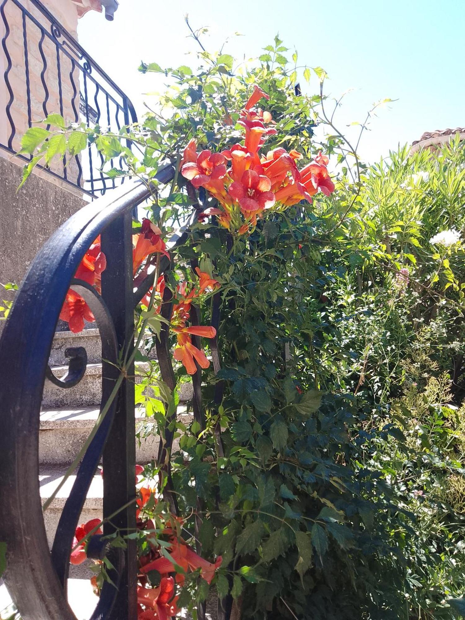 Les Du Mont Ventoux Holiday home Bedoin