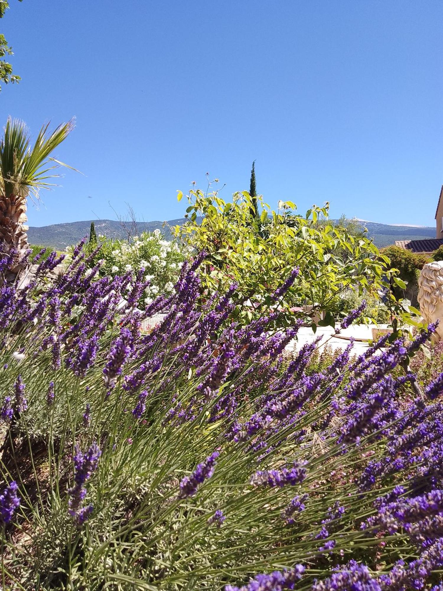 Holiday home Les Du Mont Ventoux Bedoin