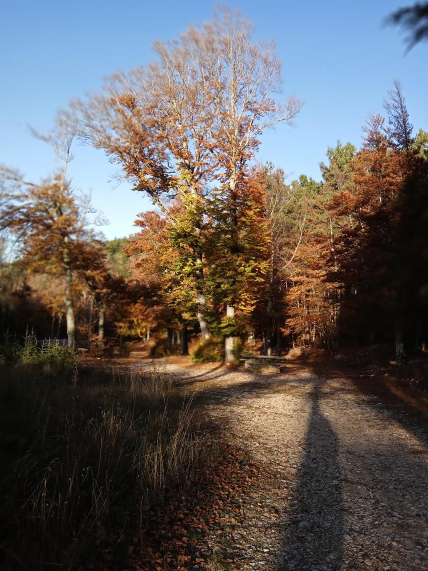 Holiday home Les Du Mont Ventoux Bedoin