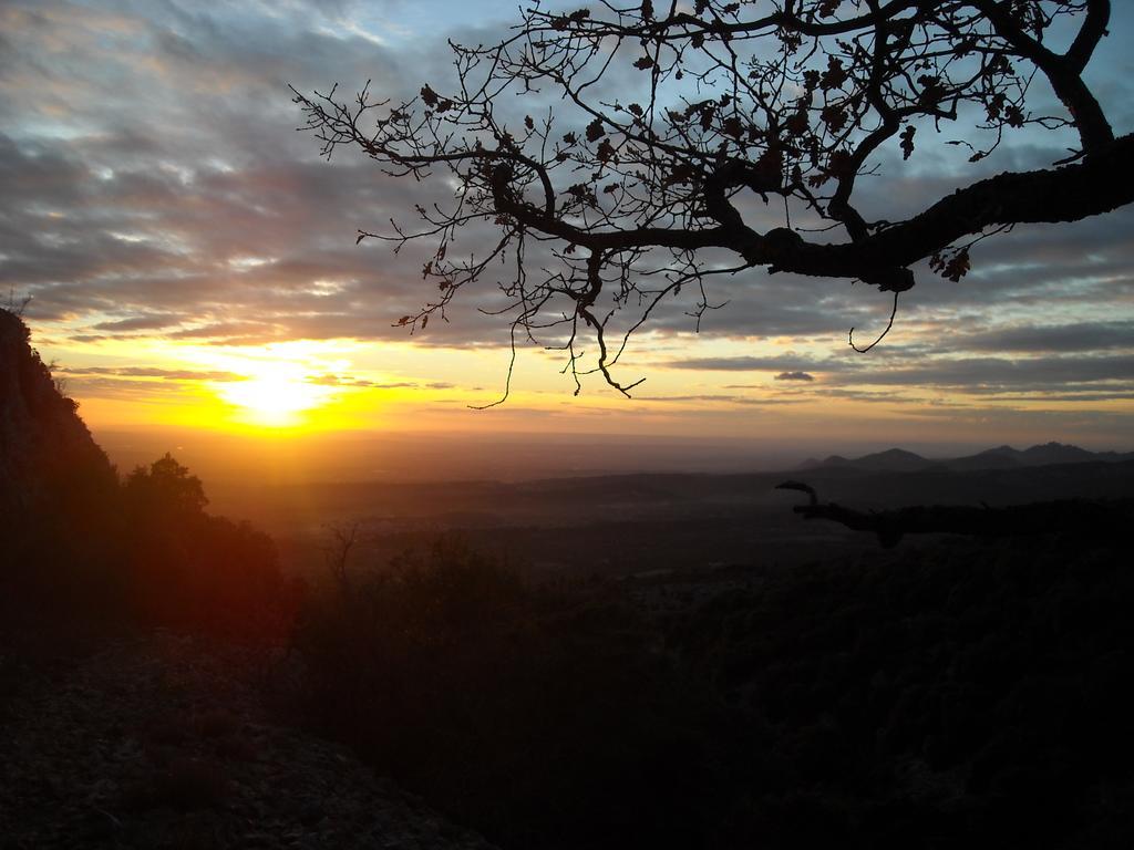 Les Du Mont Ventoux