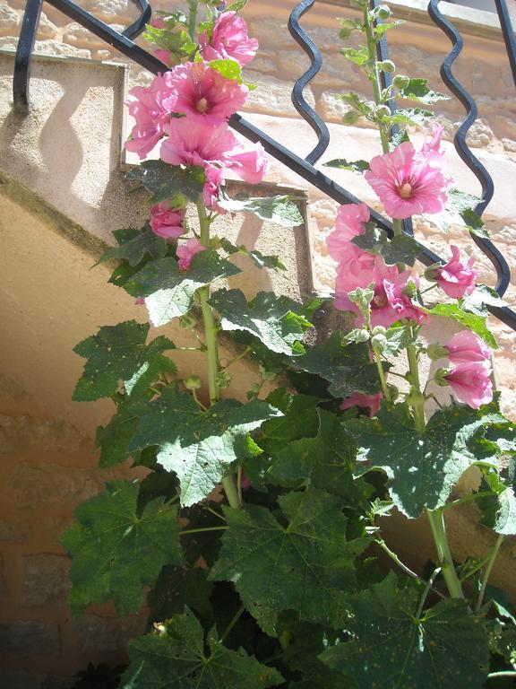 Holiday home Les Du Mont Ventoux *
