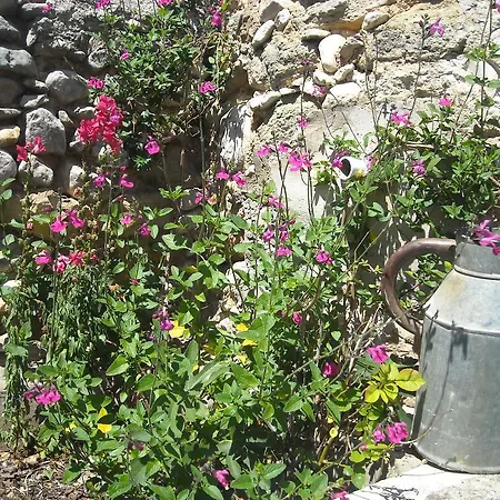 Les Gites Du Mont Ventoux Bedoin Exterior photo