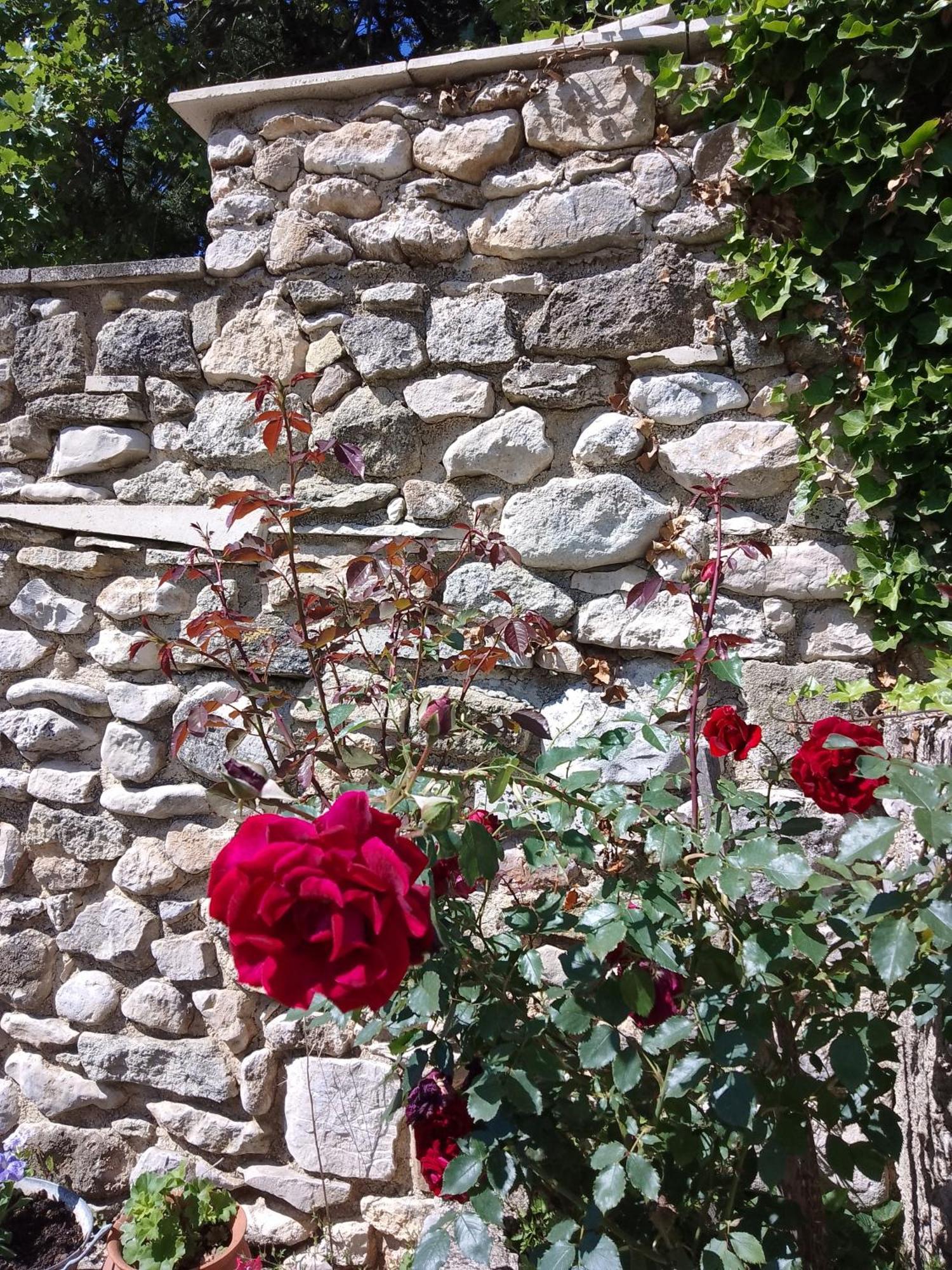 Holiday home Les Du Mont Ventoux