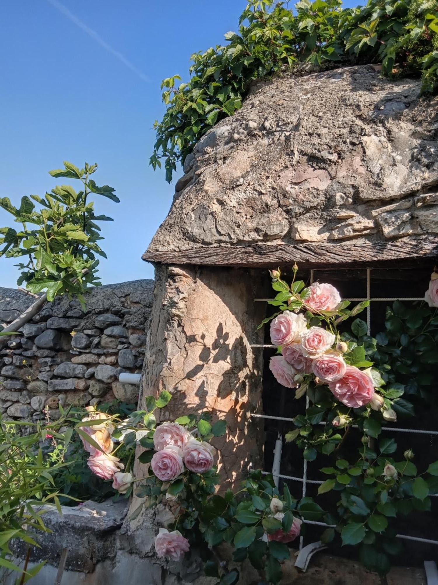 Holiday home Les Du Mont Ventoux Bedoin